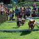 cantref adventure farm