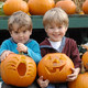 Hatton Adventure Farm