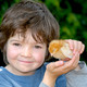 Hatton Adventure Farm
