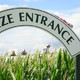 Milton Maize Maze