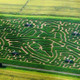 Milton Maize Maze