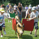Rare Breeds Centre