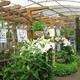 Rare Breeds Centre