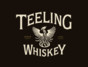 Teeling Whiskey Distillery