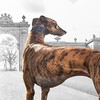 >Towcester Racecourse
