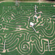 Tulleys Maize Maze
