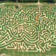 Tulleys Maize Maze