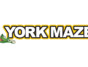 York Maze